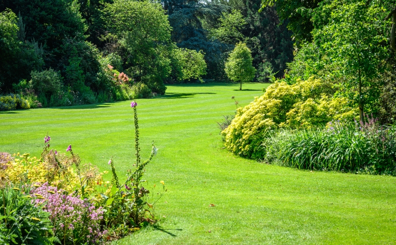 King's College Fellows' Garden and Provost's Garden